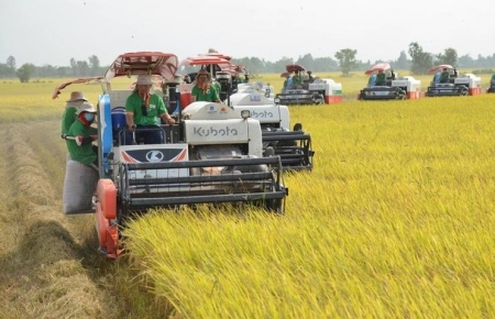 Tin tức kinh tế ngày 30/11: Xuất khẩu nông sản phục hồi mạnh