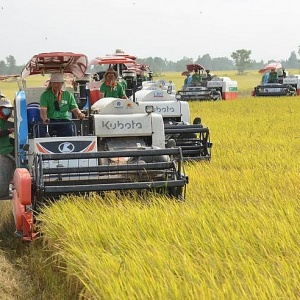 Tin tức kinh tế ngày 30/11: Xuất khẩu nông sản phục hồi mạnh