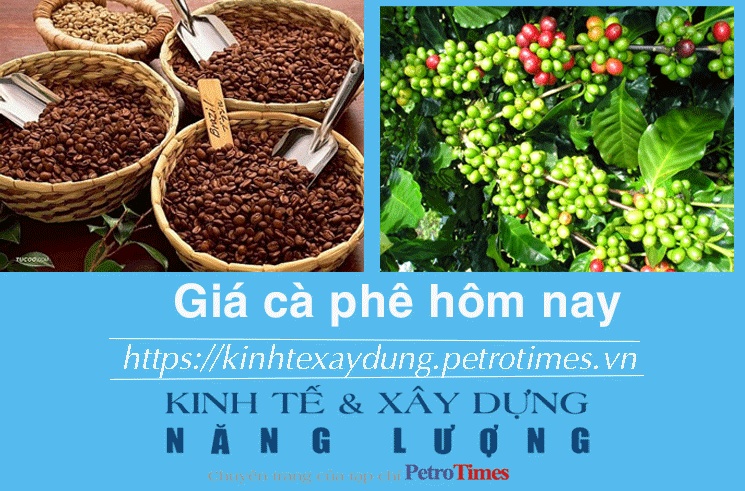 Giá cà phê hôm nay 1/12: Thị trường trong nước tăng mạnh