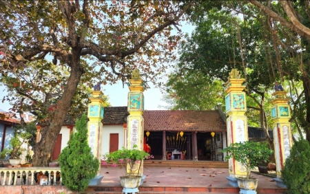 4 cây di sản 200 năm tuổi trong ngôi đình làng cổ