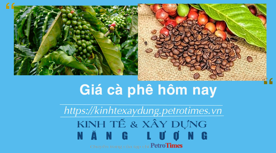 Giá cà phê hôm nay 2/12: Trong nước tiếp tục tăng