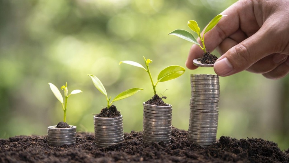 COP28: Các nước đang phát triển cần được đầu tư nhiều hơn