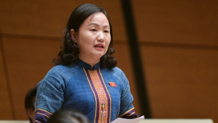 Bài 6: ĐBQH Phạm Thuý Chinh: Việc ban hành Luật về năng lượng tái tạo là hết sức cần thiết