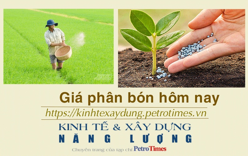Giá phân bón hôm nay 7/12: DAP tăng