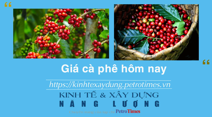 Giá cà phê hôm nay 7/12: Giá cà phê trong nước tăng mạnh