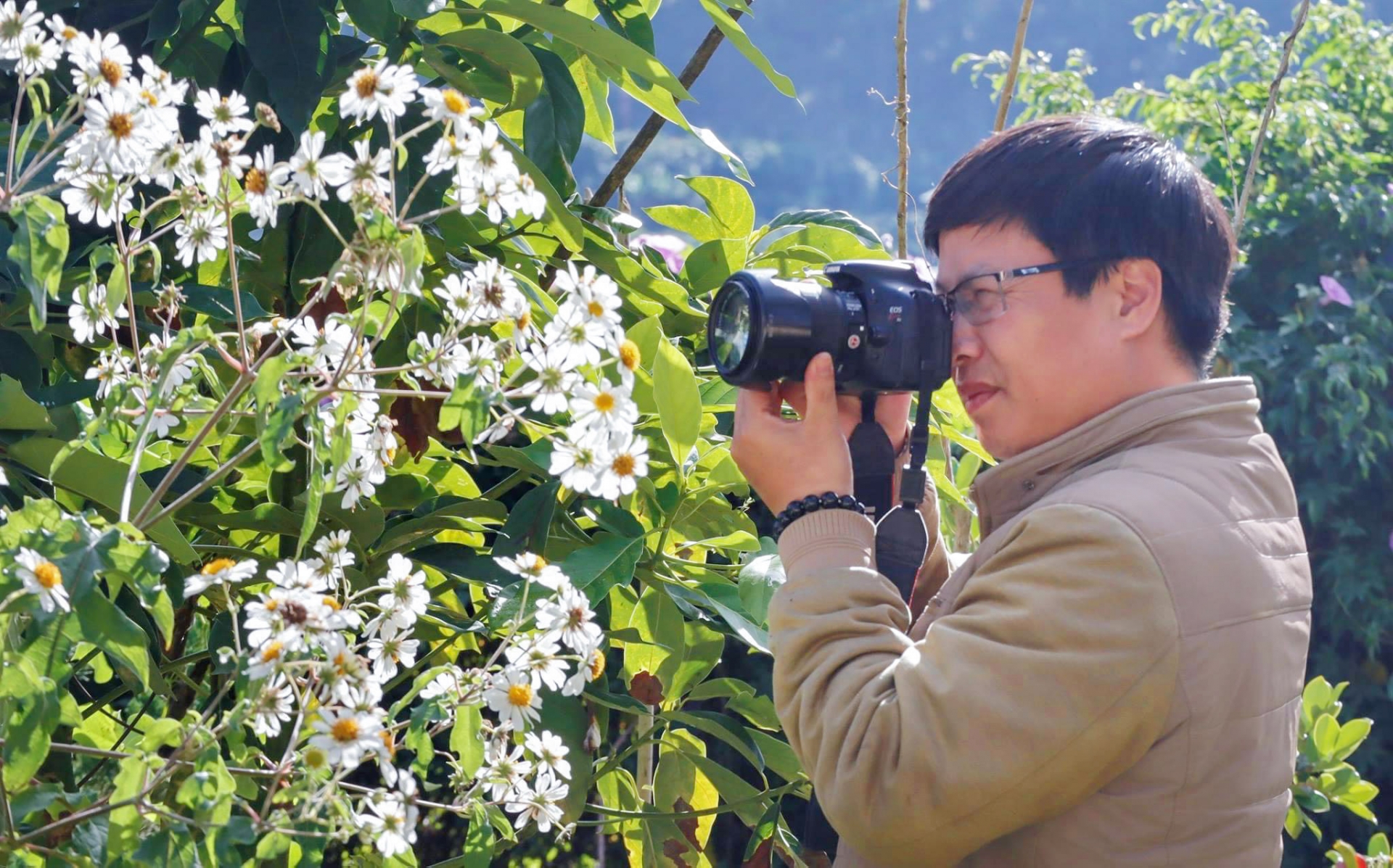 Vẻ đẹp tinh khôi của hoa quỳ trắng Đà Lạt