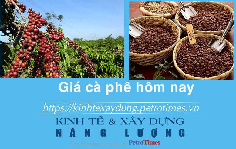 Giá cà phê hôm nay 8/12: Tiếp đà tăng mạnh