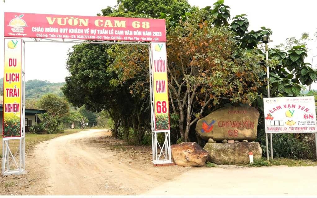 Sức hấp dẫn từ du lịch trải nghiệm vườn cam tại Vạn Yên (Vân Đồn)