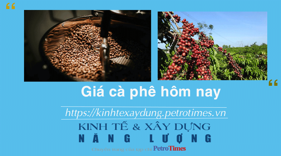 Giá cà phê hôm nay 9/12: Giữ vững đà tăng