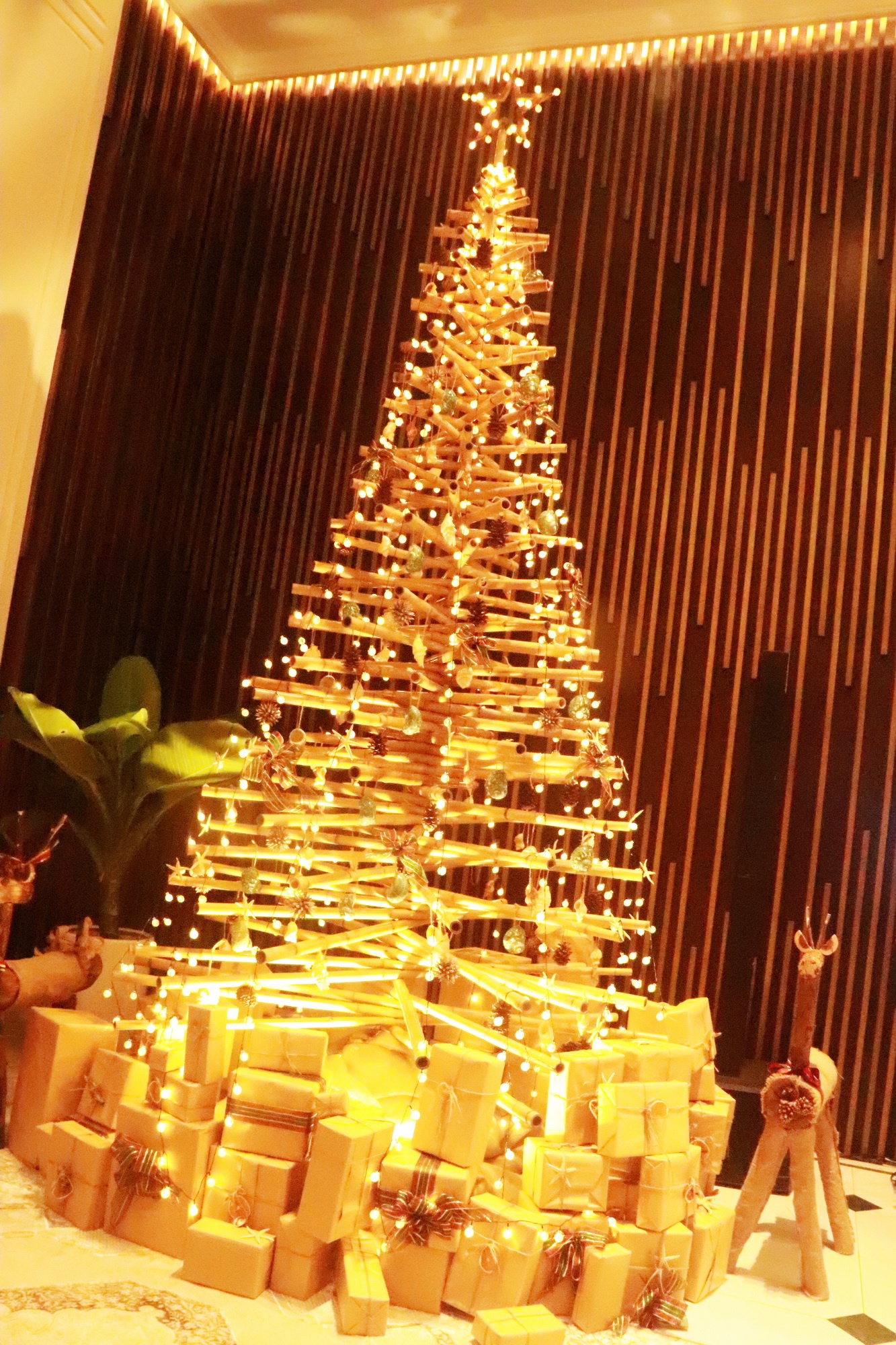 Nha Trang: Khách sạn Potique thắp sáng cây thông Noel kết hợp gây quỹ từ thiện Nha Trang: Khách sạn Potique thắp sáng cây thông Noel kết hợp gây quỹ từ thiện