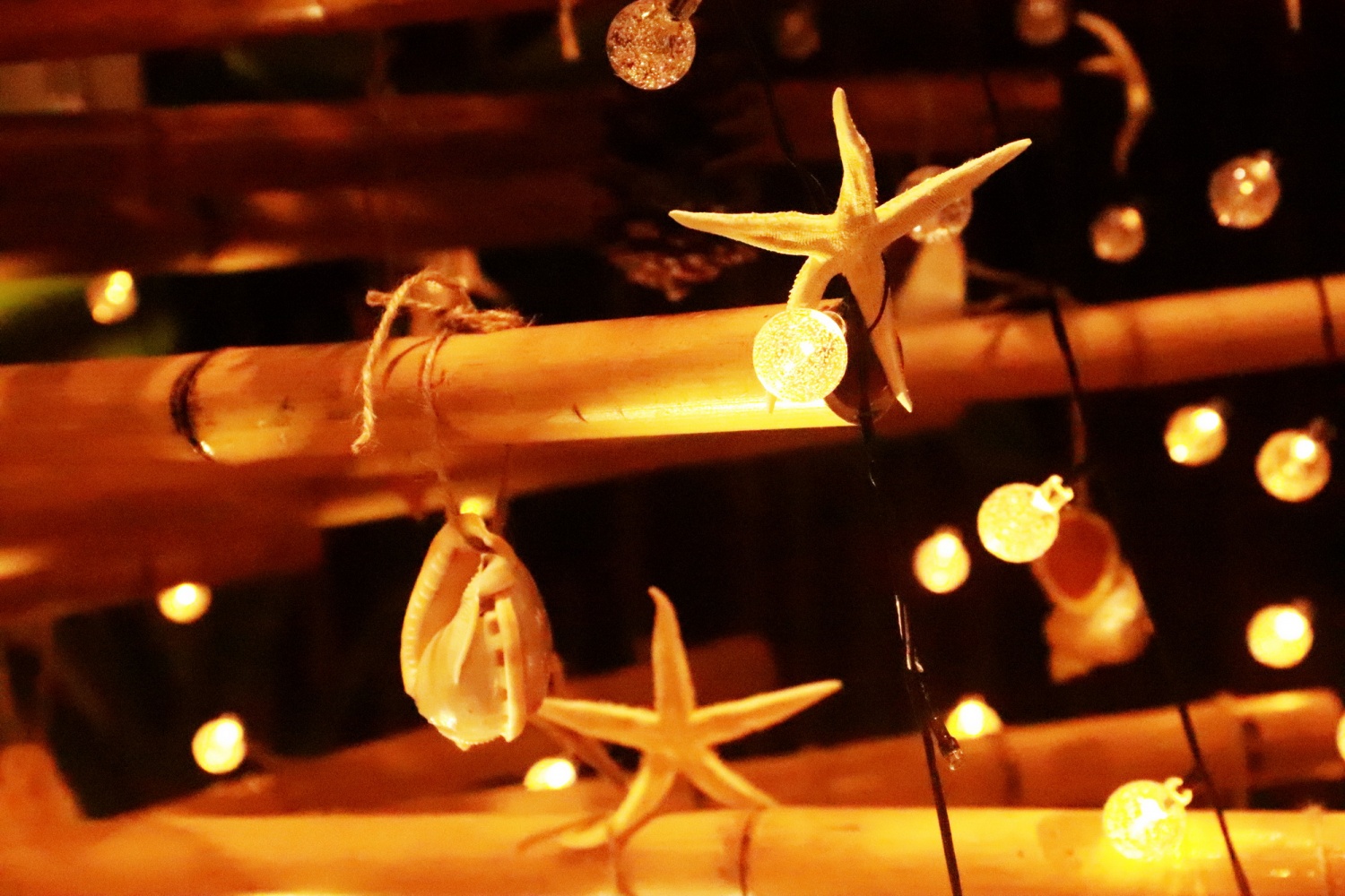 Nha Trang: Khách sạn Potique thắp sáng cây thông Noel kết hợp gây quỹ từ thiện Nha Trang: Khách sạn Potique thắp sáng cây thông Noel kết hợp gây quỹ từ thiện