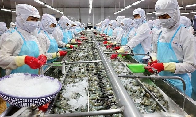 Thị trường Australia ngày càng ưa chuộng tôm Việt Nam