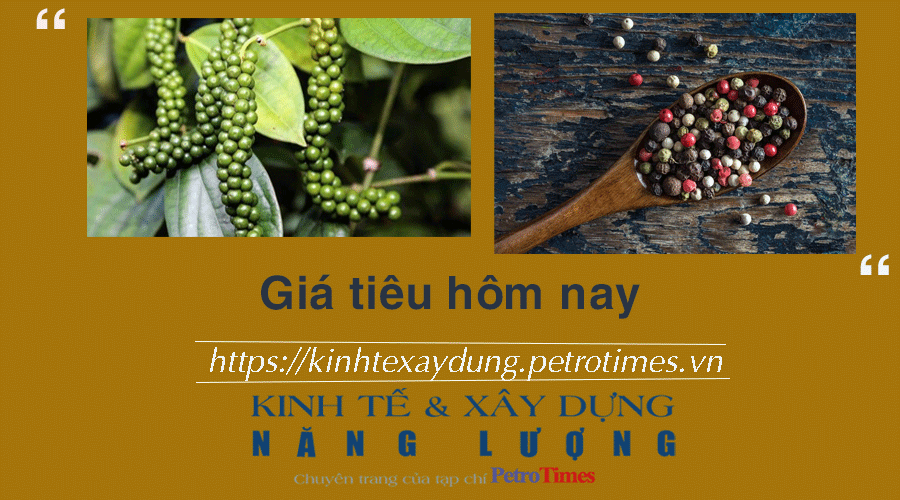 Giá tiêu hôm nay 17/12: Tăng mạnh 3.000 đồng