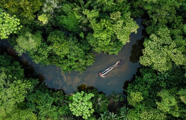 Mục tiêu phát thải ròng của châu Âu có nguy cơ "đổ bể"