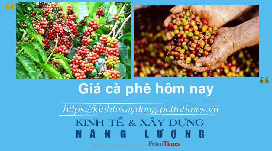 Giá cà phê hôm nay 18/12: Tiếp tục tăng