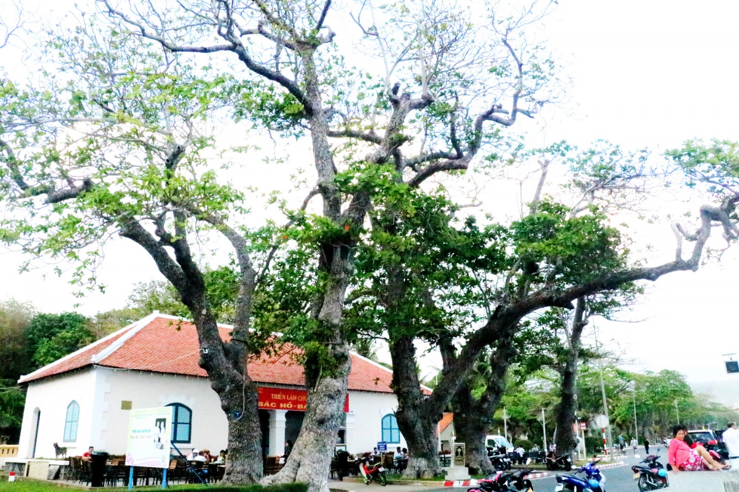 Như một nốt nhạc trầm