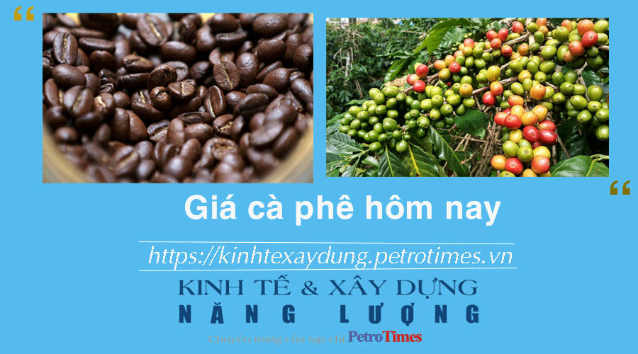 Giá cà phê hôm nay 19/12: Robusta và Arabica đi trái chiều