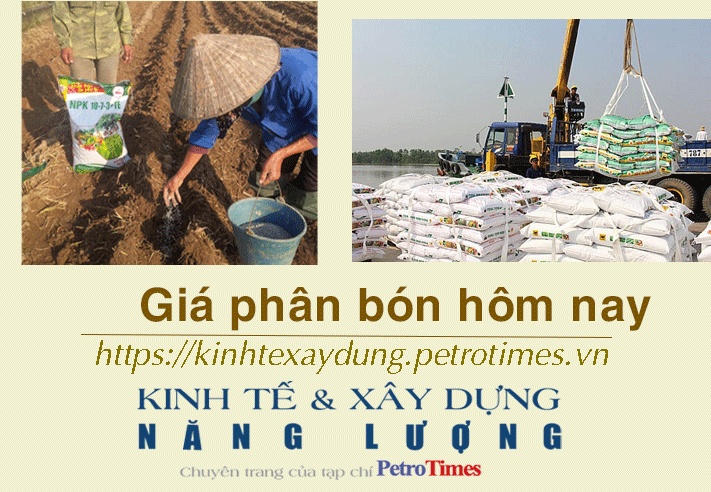 Giá phân bón hôm nay 20/12: Các đại lý nhập hàng cầm chừng