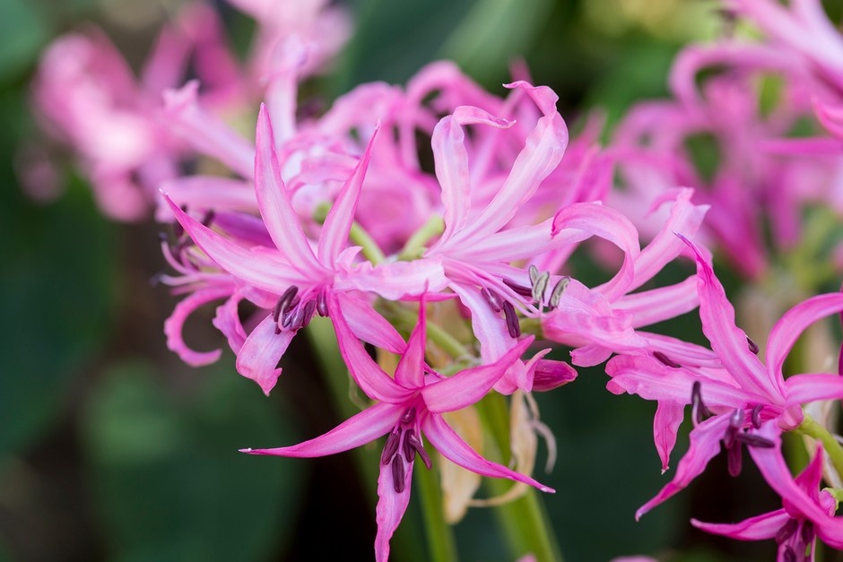 Tử vi ngày 21/12/2023: Tuổi Sửu cần giữ khiêm tốn, tuổi Tỵ thu về lợi nhuận Tử vi ngày 21/12/2023: Tuổi Sửu cần giữ khiêm tốn, tuổi Tỵ thu về lợi nhuận