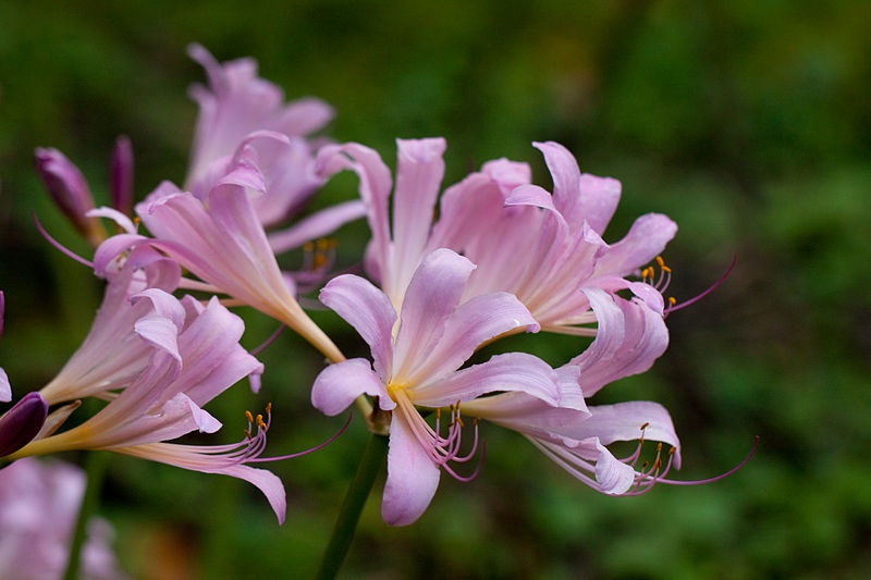 Tử vi ngày 21/12/2023: Tuổi Sửu cần giữ khiêm tốn, tuổi Tỵ thu về lợi nhuận Tử vi ngày 21/12/2023: Tuổi Sửu cần giữ khiêm tốn, tuổi Tỵ thu về lợi nhuận