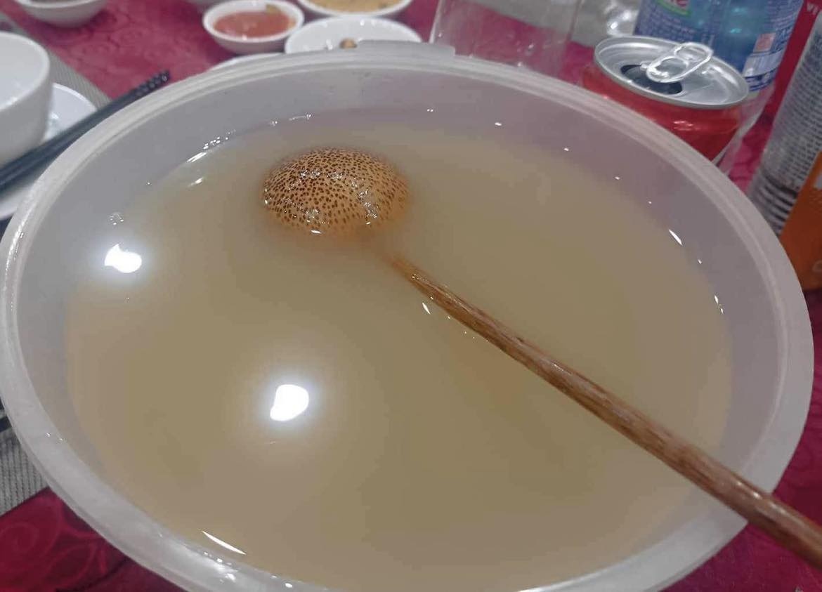 Bài 1: “Thần dược” cao hổ cốt?