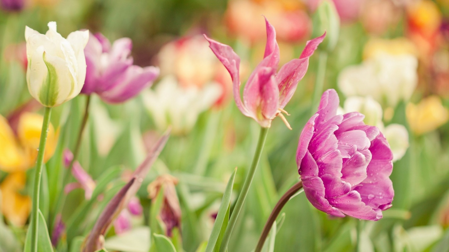 Tử vi ngày 22/12/2023: Tuổi Thìn đừng ngại dấn thân, tuổi Ngọ dẫn dắt mọi người Tử vi ngày 22/12/2023: Tuổi Thìn đừng ngại dấn thân, tuổi Ngọ dẫn dắt mọi người