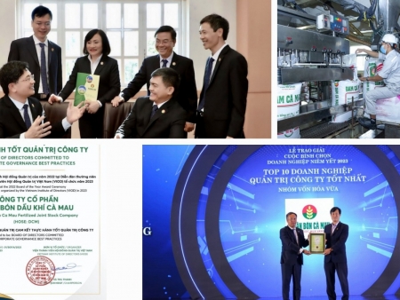 Phân bón Cà Mau thuộc top 10 "Doanh nghiệp quản trị công ty tốt nhất" năm 2023