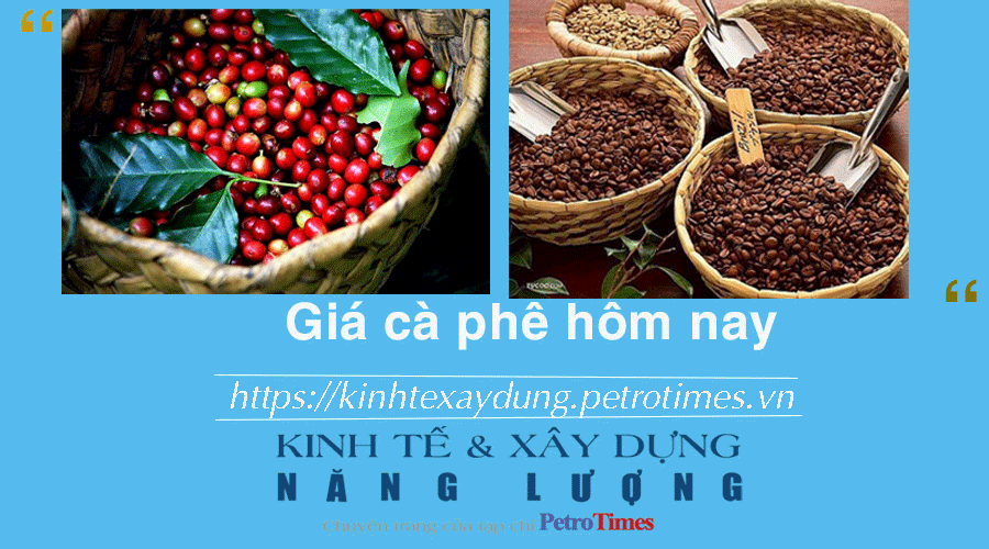 Giá cà phê hôm nay 23/12: