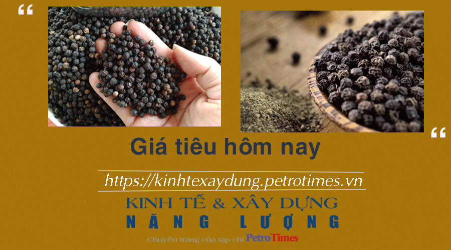 Giá tiêu hôm nay 26/12: Điều chỉnh tăng