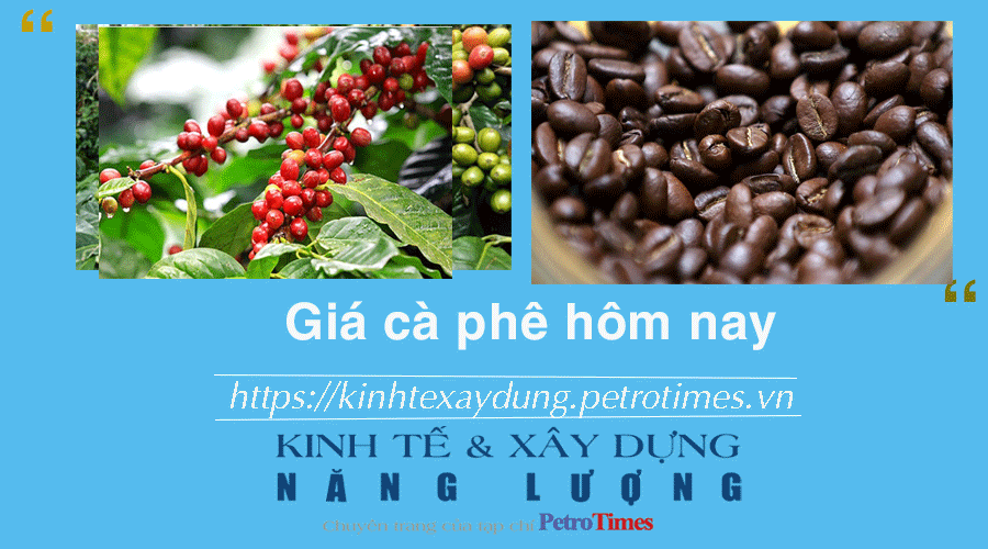 Giá cà phê hôm nay 27/12: Trong nước tiếp tục ổn định