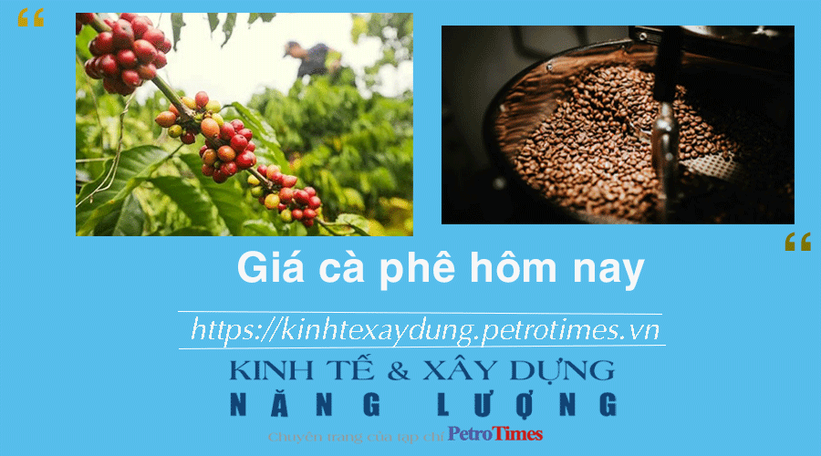 Giá cà phê hôm nay 28/12: Tăng nhẹ ở một số địa phương