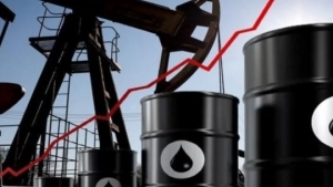 Dự báo vấn đề nguyên liệu thô năm 2024