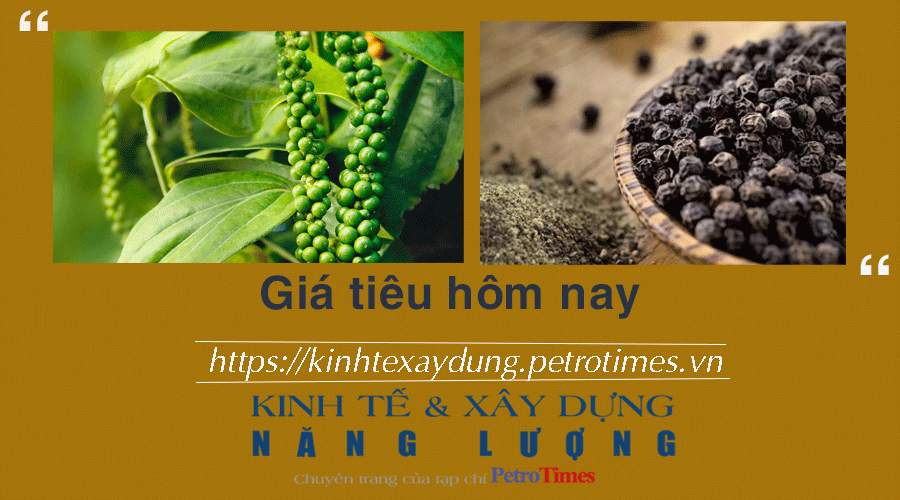 Giá tiêu hôm nay 29/12: Chấm dứt chuỗi ngày tăng
