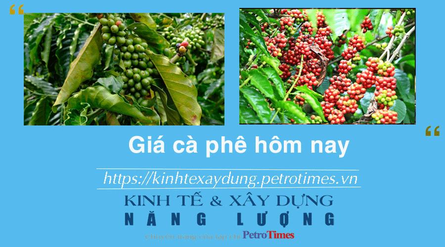 Giá cà phê hôm nay 30/12: Thị trường trong nước chạm mốc 70.000 đồng
