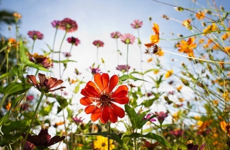 Tử vi tuần mới 1/1 - 7/1/2024: Tuổi Thìn mọi sự như ý, tuổi Tỵ thách thức đang chờ