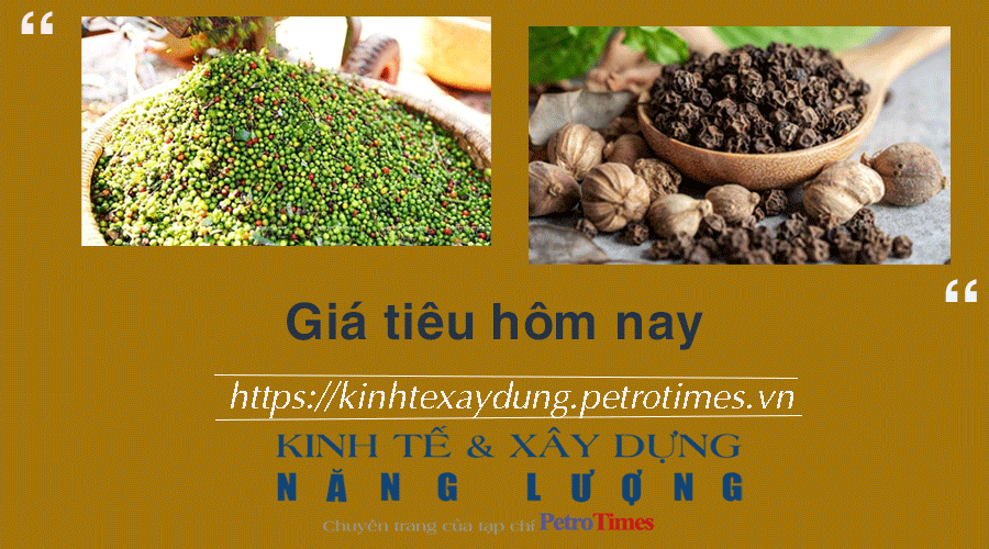Giá tiêu hôm nay 31/12: Điều chỉnh giảm