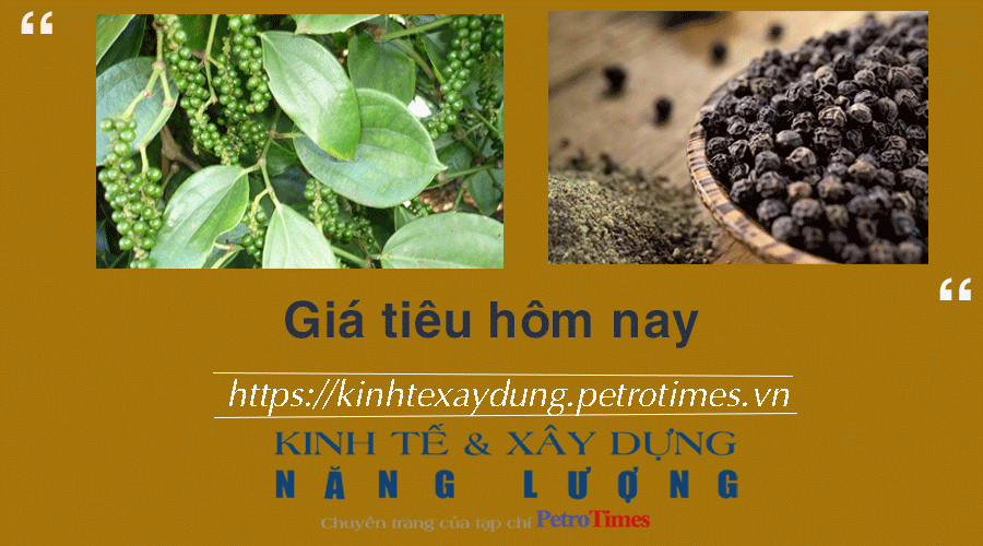 Giá tiêu hôm nay 1/1: Giữ ổn định