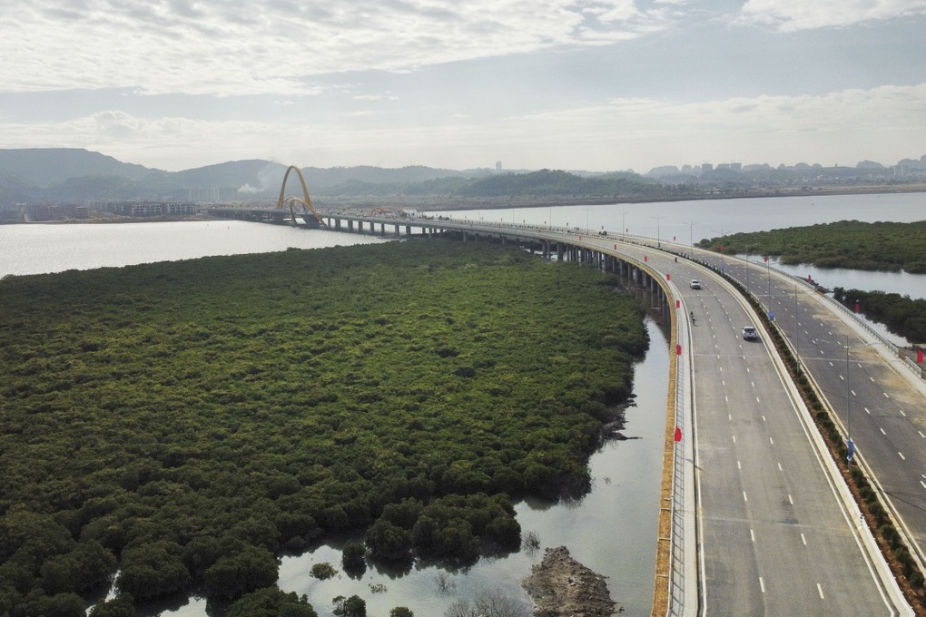 Quảng Ninh khánh thành cầu hơn 1.700 tỷ đồng nối đôi bờ vịnh Cửa Lục - 3