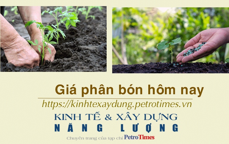 Giá phân bón hôm nay 4/1: NPK Hàn Quốc ổn định