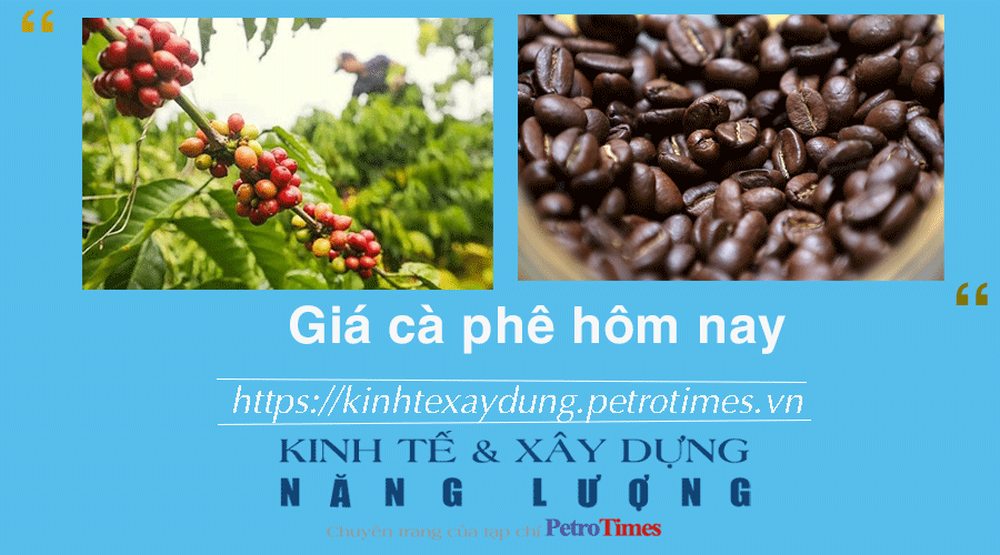 Giá cà phê hôm nay 4/1: Quay đầu giảm