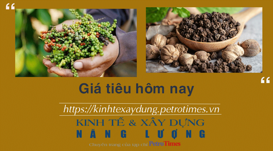 Giá tiêu hôm nay 5/1: Tăng phiên thứ 3 liên tiếp