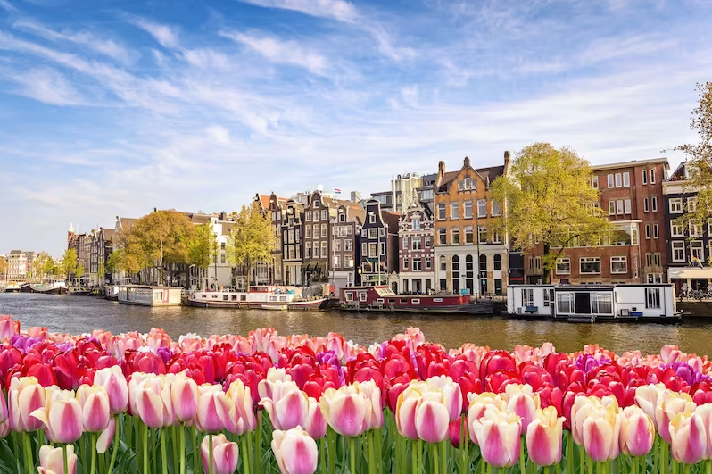 Ghé thăm “trái tim” của Xứ sở hoa Tulip