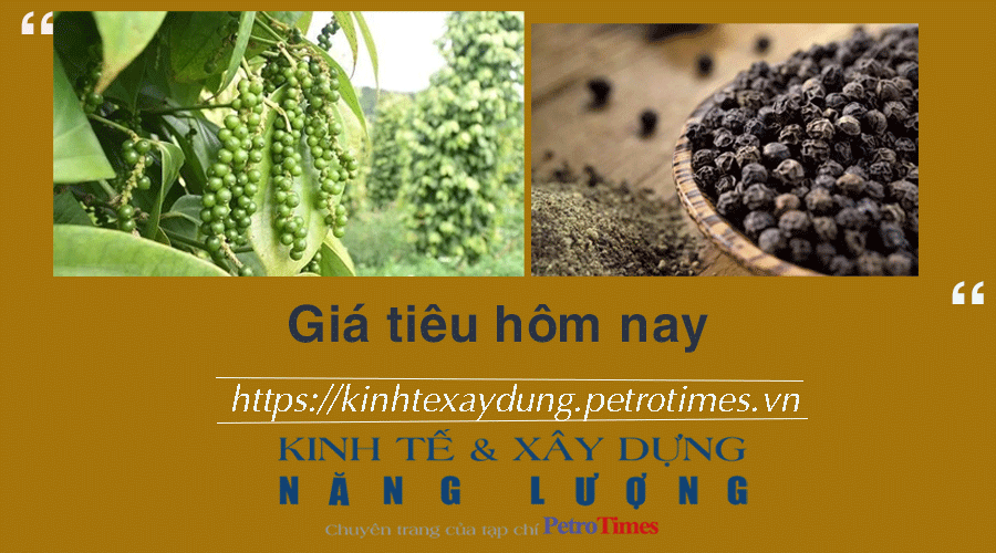 Giá tiêu hôm nay 7/1: