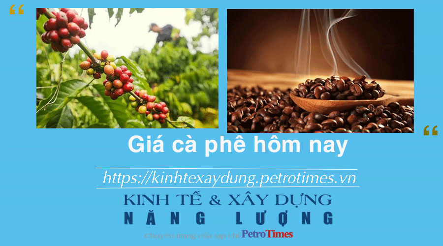Giá cà phê hôm nay 8/1: