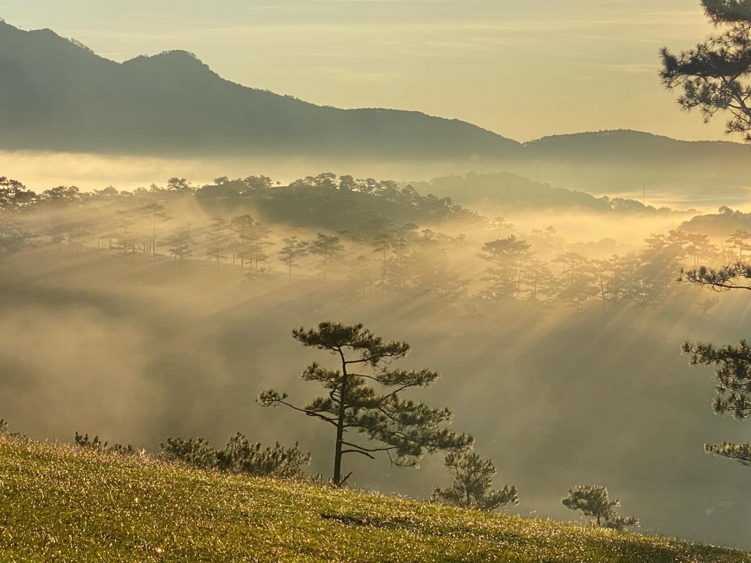 Mê đắm vẻ đẹp thiên nhiên Đà Lạt
