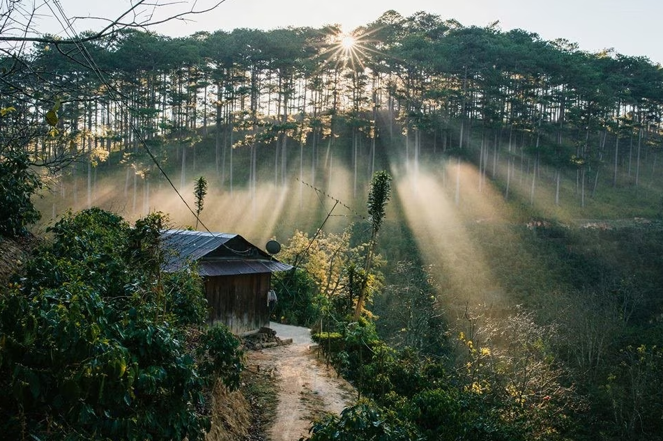 Mê đắm vẻ đẹp thiên nhiên Đà Lạt