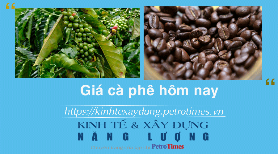 Giá cà phê hôm nay 10/1: Tăng mạnh