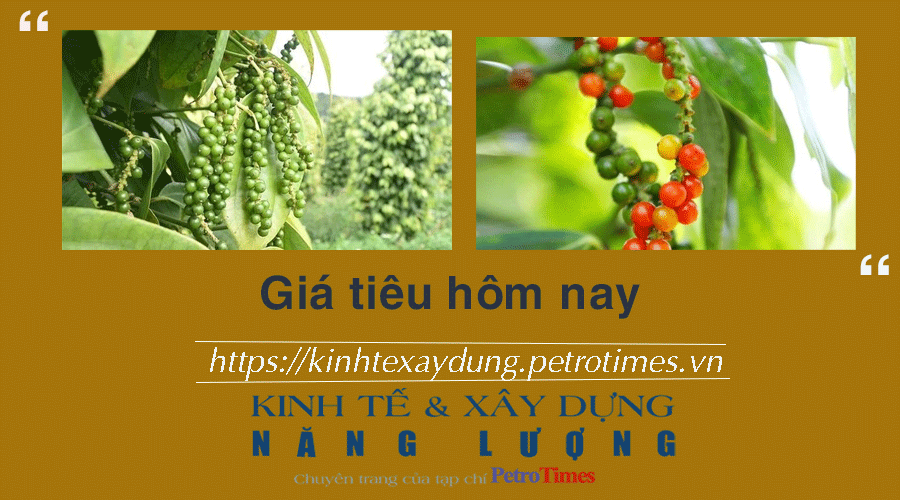 Giá tiêu hôm nay 10/1: Giảm tại thị trường trong nước