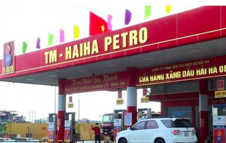 Loạt sai phạm tại Công ty Hải Hà Petro và Thiên Minh Đức