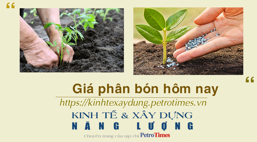 Giá phân bón hôm nay 12/1: Sức mua chậm